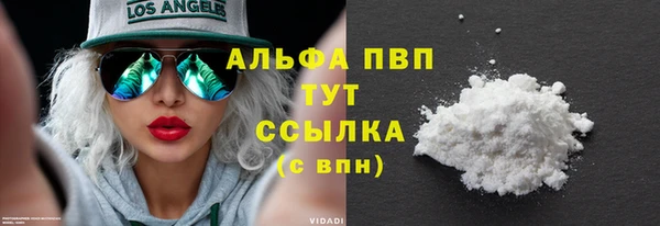 PSILOCYBIN Медвежьегорск