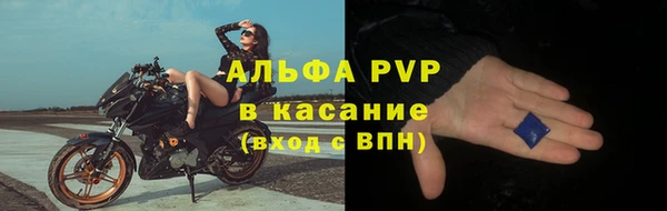 PSILOCYBIN Медвежьегорск