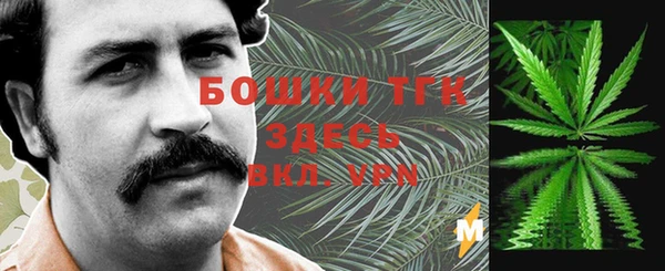 PSILOCYBIN Медвежьегорск