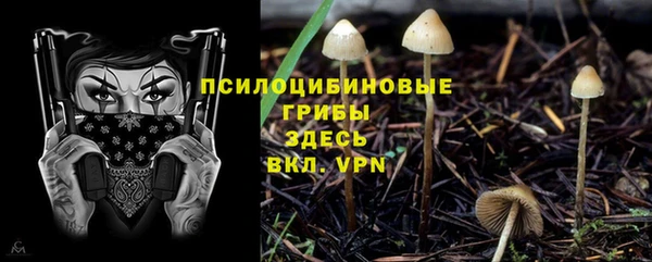 таблы Медногорск